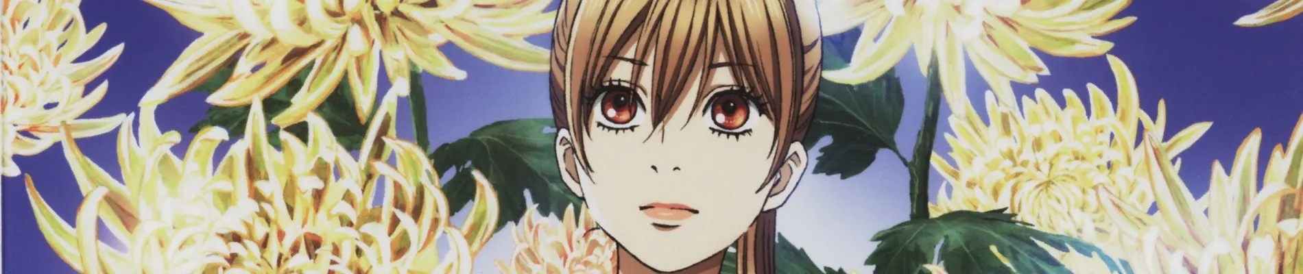 Chihayafuru 2 backdrop
